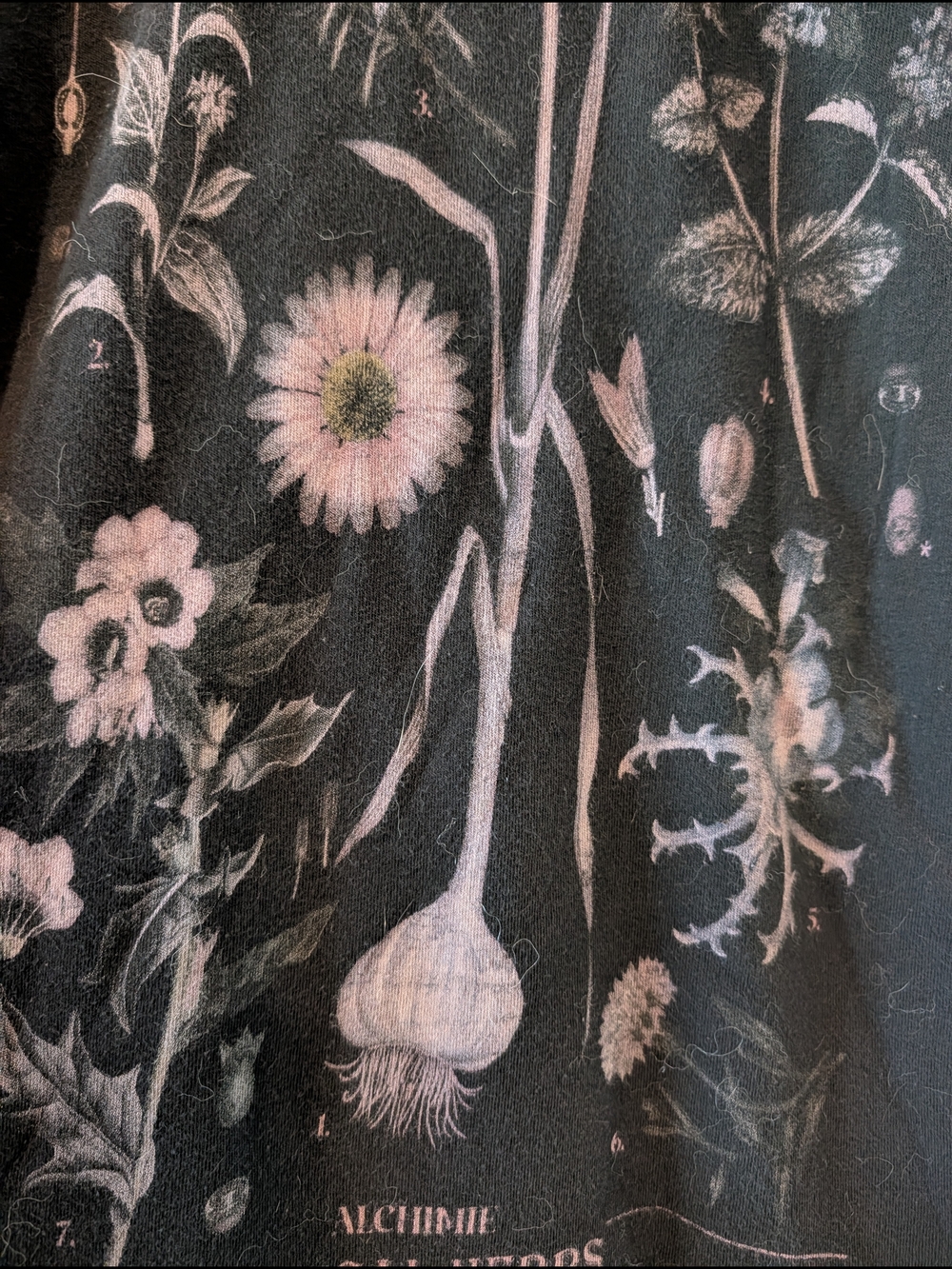 Midnight Hour Black Floral Lace-Accent Hoodie Sweater - Picture 4 of 8